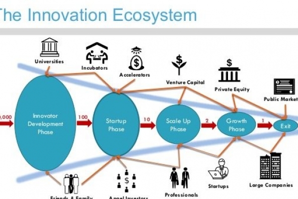 The Innovation Ecosystem