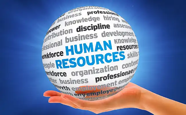 HR outsourcing... here to stay-01