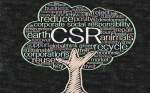 CSR In letter & spirit-01