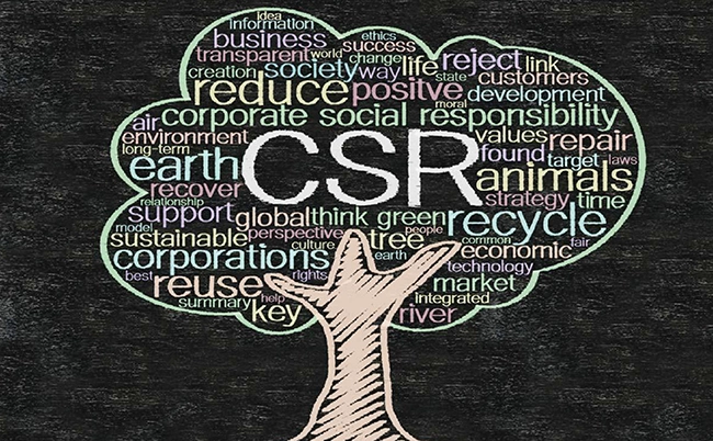 CSR In letter & spirit-01