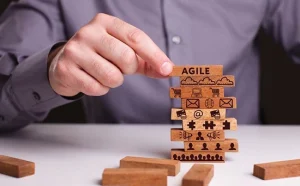 Agile The Way Forward